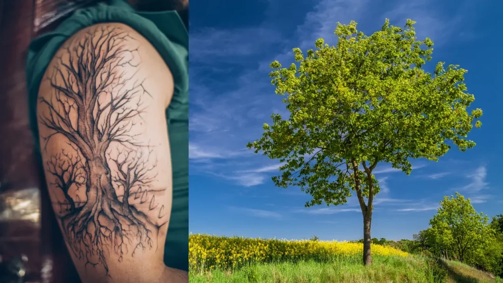 Tree of Life tattoo